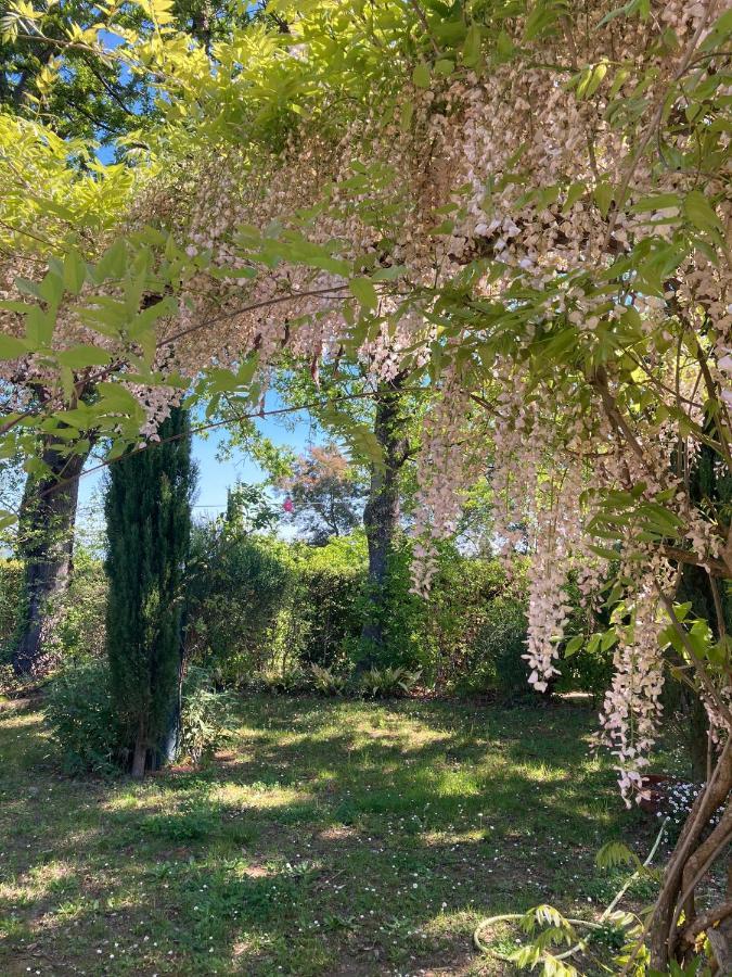 Tenuta Poggio Alla Farnia Fauglia Extérieur photo