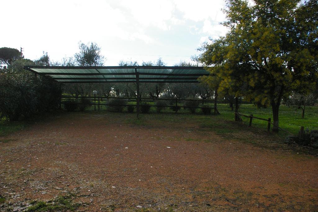 Tenuta Poggio Alla Farnia Fauglia Extérieur photo